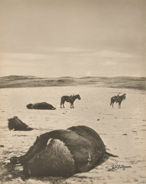After the Chase, North Montana Range, M.T.
