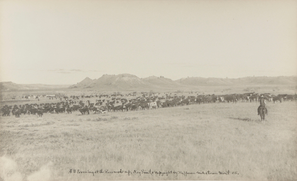 #13 Evening at the Round-Up