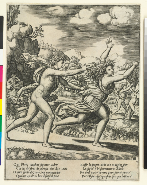 Apollo Pursuing Daphne