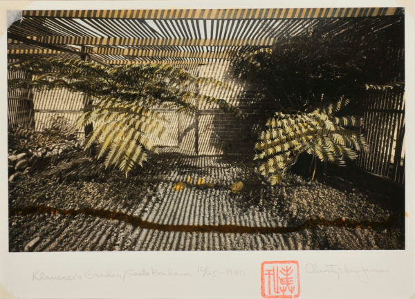 Klausner's Garden, Santa Barbara