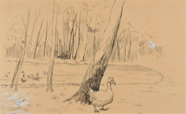 Ducks by a Pond