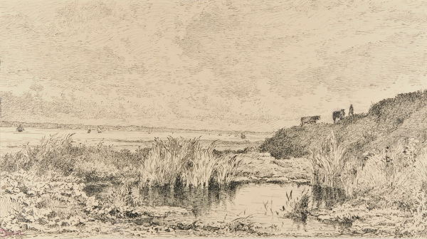 Une Mare dans la Falaise (Villerville)