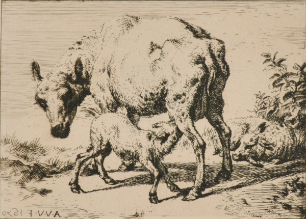 THE EWE WITH TWO LAMBS