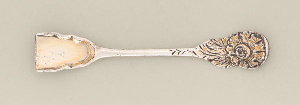 Salt Spoon