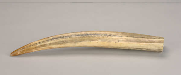 Scrimshaw Decorated with Birds and a Harbor or Village