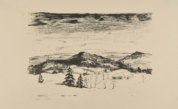 Mountain and Pine Trees