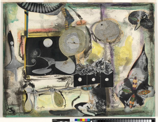 The Drugged Balloonist