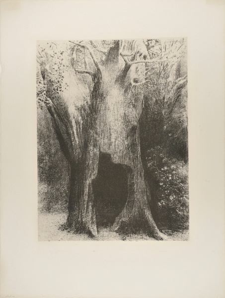 I PLUNGED INTO SOLITUDE. I DWELT IN THE TREE BEHIND ME (JE ME SUIS ENFONCÉ DANS LA SOLITUDE. J'HABITAIS L'ARBRE DERRIÈRE MOI)