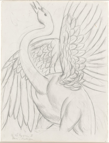 Study for “The Swan”