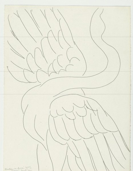 STUDY FOR "THE SWAN" (REFUSED ETCHING)