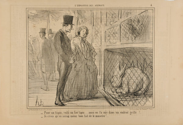 QUITE A HARE... NOT BAD FOR A HARE!... GOOD IDEA TO KEEP HIM BEHIND BARS. - I THINK THEY ALSO SHOULD HAVE MUZZLED HIM.