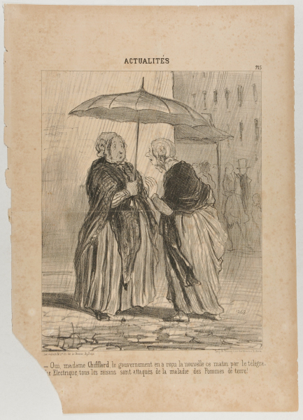 YES, MADAME CHIFFLARD, THE GOVERNMENT RECEIVED THE NEWS THIS MORNING BY ELECTRIC TELEGRAPH THAT ALL THE GRAPES HAD BEEN INFESTED BY THE POTATO DISEASE
