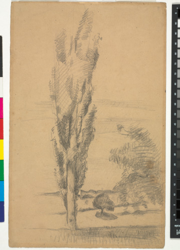 THE POPLAR (RECTO); STUDIES OF WOMAN'S HEAD, CHILD'S HEAD AND BOTTLE (VERSO)