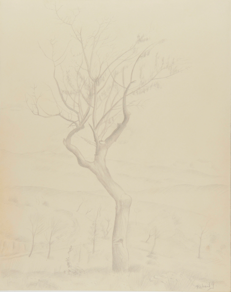 Landscape with Tree