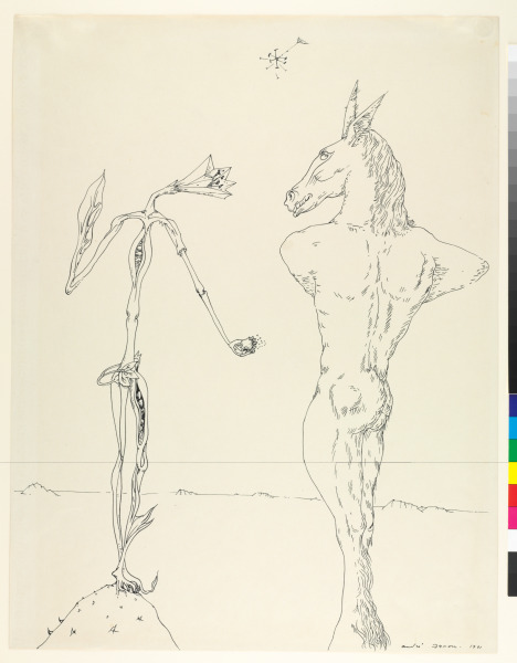 The Donkey and the Flower