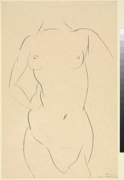 FRONTAL VIEW OF TORSO