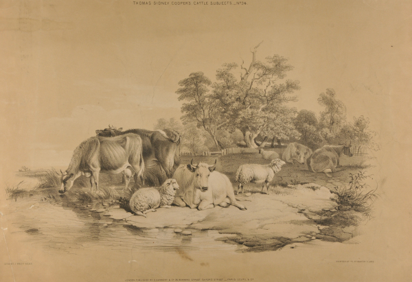 Thomas Sidney Cooper's Cattle Subjects - No. 24