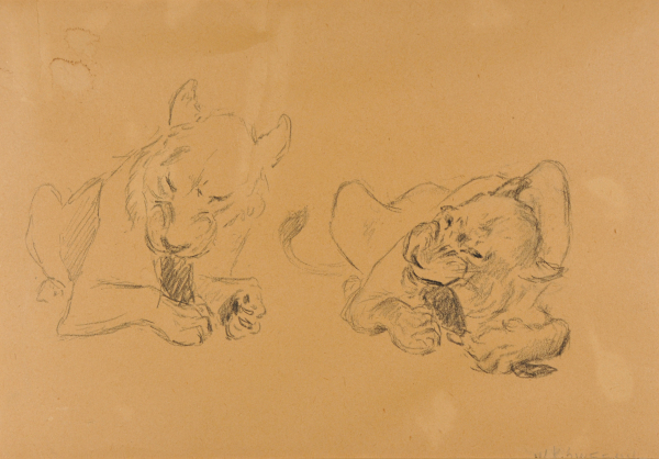 Two Lionesses Knawing on Bones