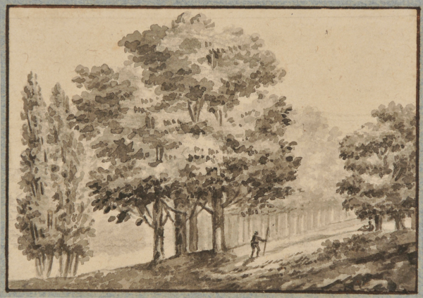 A Man Walking in the Woods