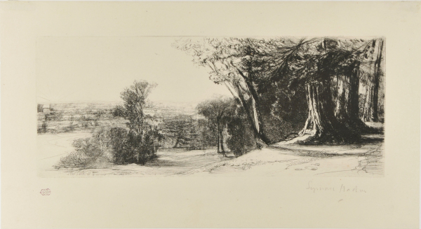 Early Morning - Richmond