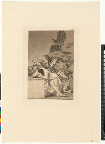 EL SUEÑO DE LA RAZON PRODUCE MONSTRUOS (THE SLEEP OF REASON PRODUCES MONSTERS)