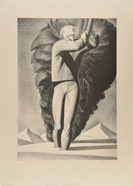 BRINGING HOME THE CHRISTMAS TREE