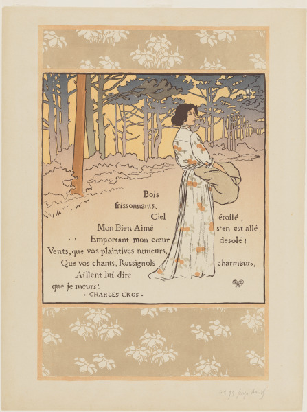 Shivering Forest, Starry Sky