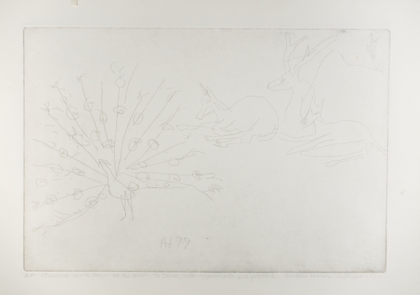 Peacock and Deer at the Zoo