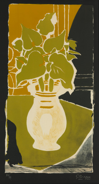 LEAVES COLOR LIGHT [FEUILLES COULEUR LUMIÈRE]