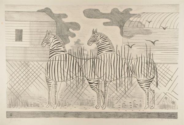 Zebras