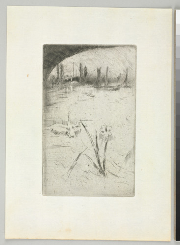 SKETCH AFTER CECIL LAWSON'S "SWAN AND IRIS"