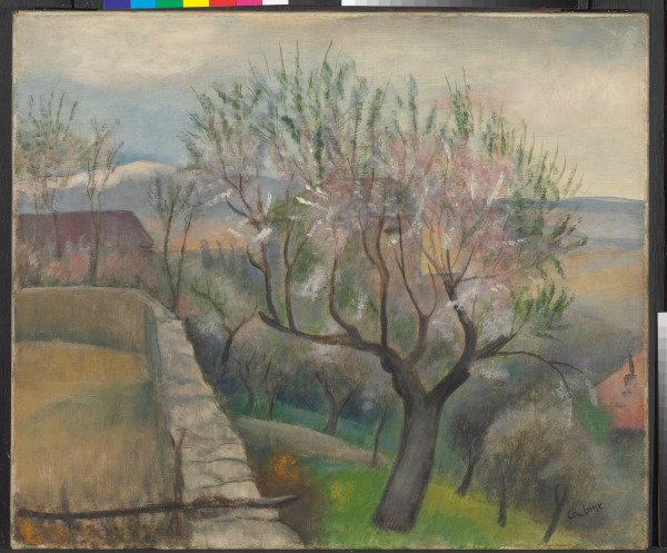 GARDEN IN THE VILLAGE