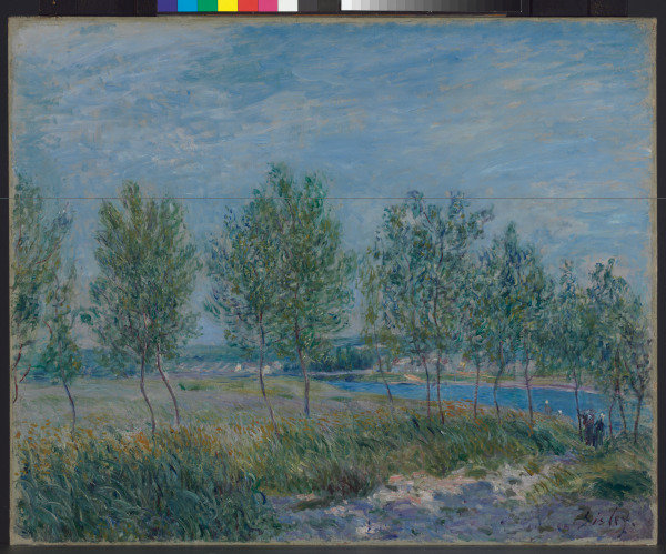 POPLARS ON A RIVER BANK