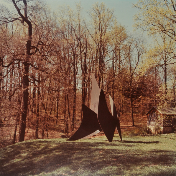 ALEXANDER CALDER, FOUR DISHES. PHOTOGRAPH TAKEN IN THE WURTZBURGER SCULPTURE GARDEN (ORIGINAL SITE, TIMBERLANE)