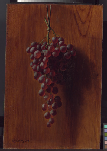 Red Grapes