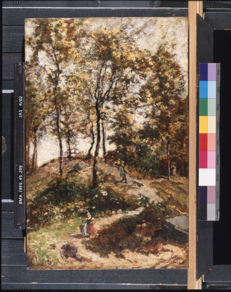 Road through the Wood