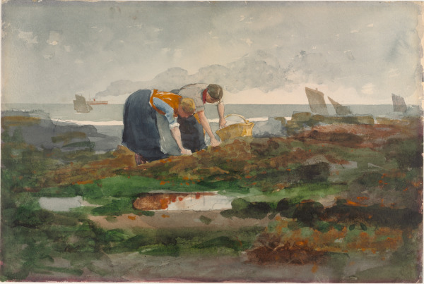 THE MUSSEL GATHERERS