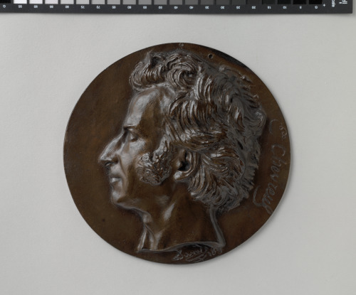 MICHEL-EUGÈNE CHEVREUL