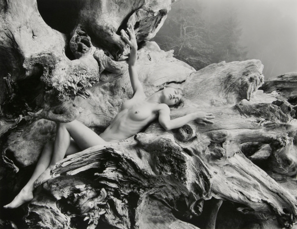 FEMALE NUDE, DRIFTWOOD (HORIZONTAL), VANCOUVER ISLAND, B.C.
