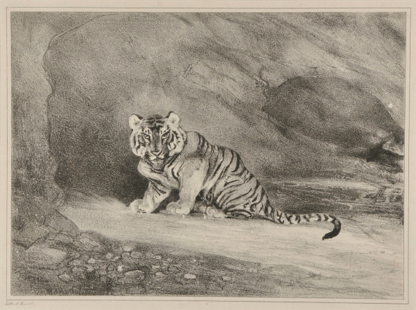 TIGER AT THE ENTRANCE OF HIS LAIR