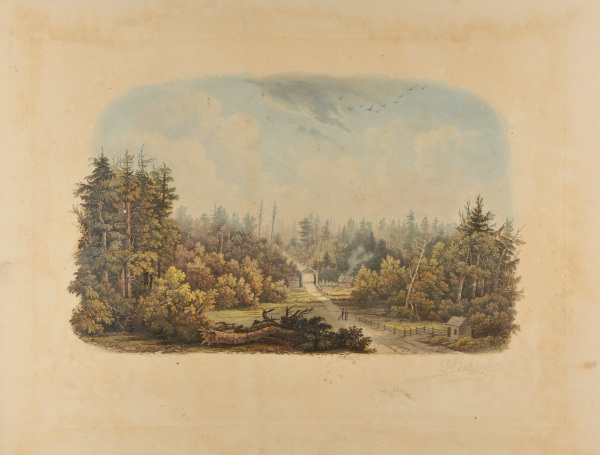 FOREST SCENE ON THE TOBIHANNA, ALLEGHANY MOUNTAINS