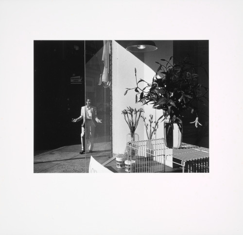 Untitled (From the Untitled Territory)