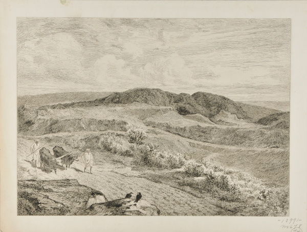 PARABLE OF THE SOWER