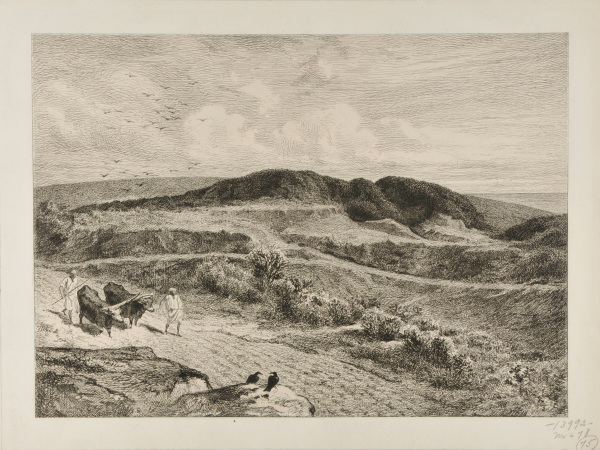 PARABLE OF THE SOWER