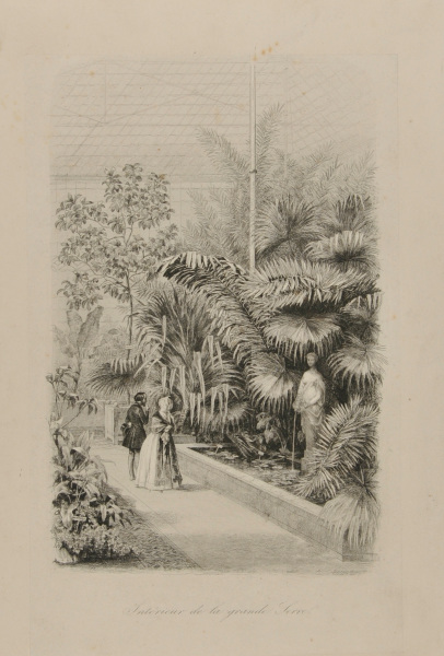 INTERIOR OF THE LARGE HOTHOUSE AT THE BOTANICAL GARDEN
