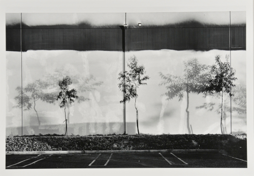 NORTH WALL, SEMICOA, 333 MCCORMICK, COSTA MESA