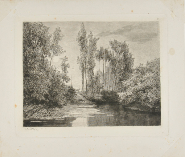 STAGS AT THE WATER'S EDGE