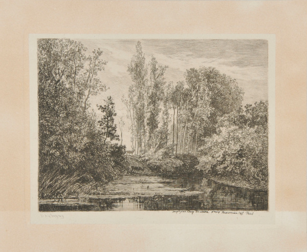 STAGS AT THE WATER'S EDGE