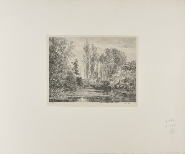 STAGS AT THE WATER'S EDGE