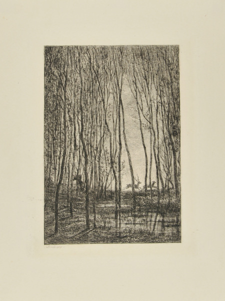 THE STAGS IN THE WOODS